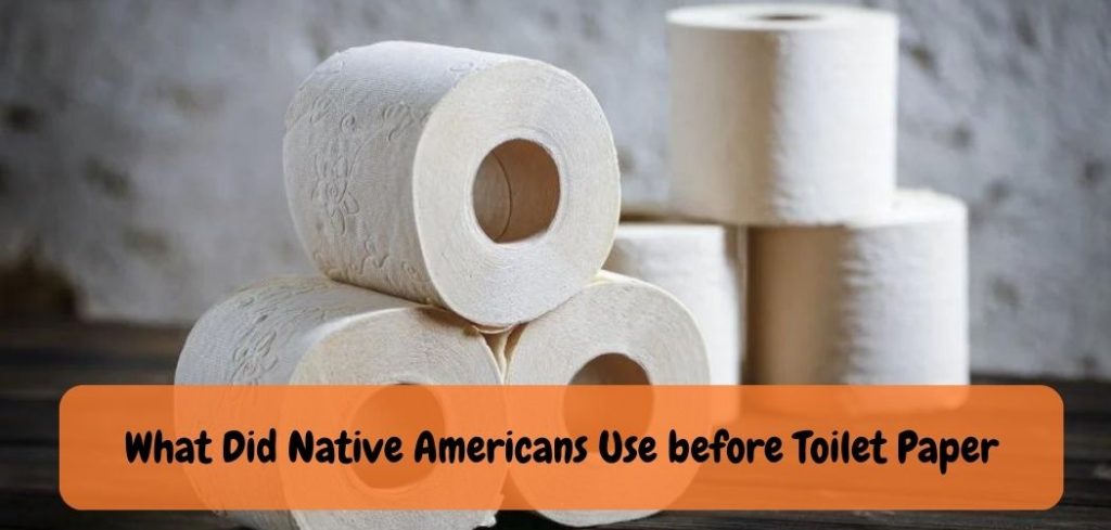 What Did Native Americans Use before Toilet Paper