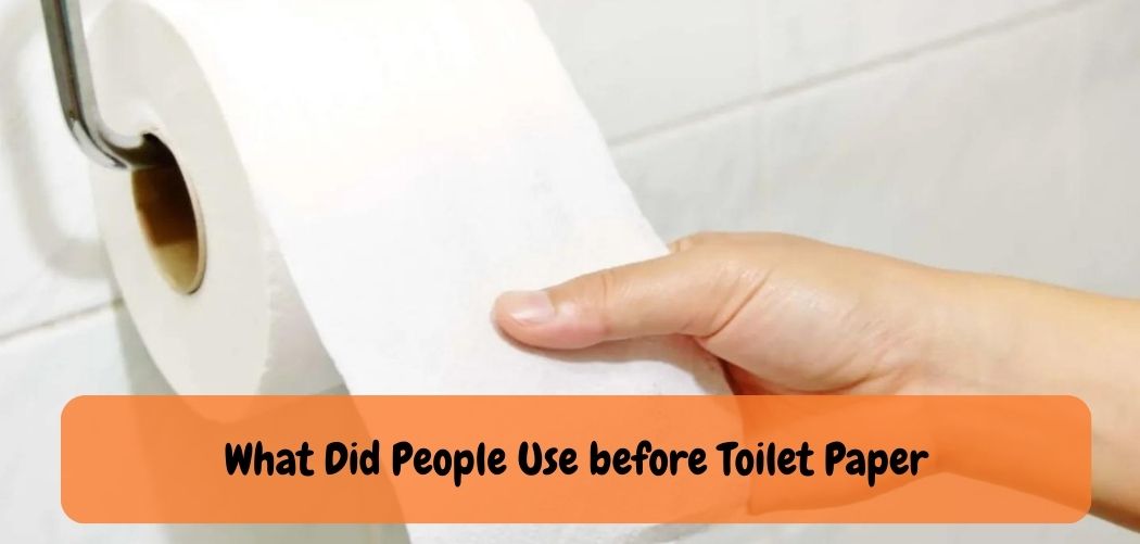What Did People Use before Toilet Paper