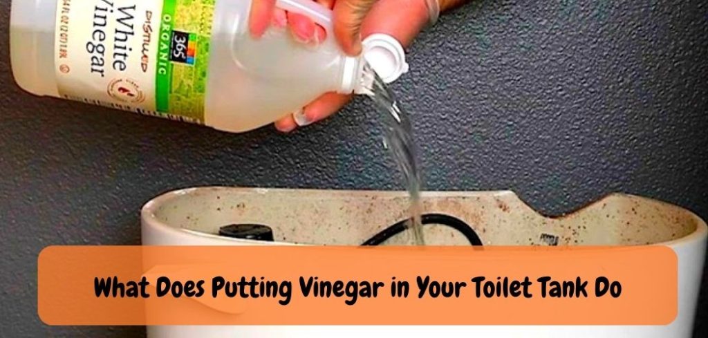 What Does Putting Vinegar 