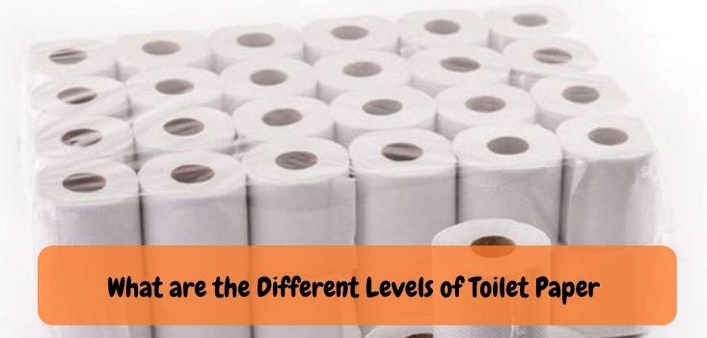 What are the Different Levels of Toilet Paper