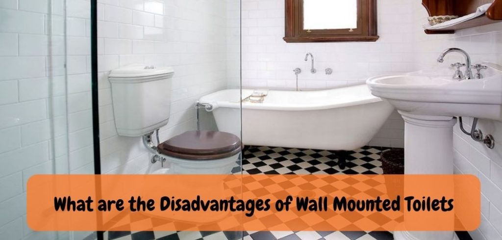 What are the Disadvantages of Wall Mounted Toilets