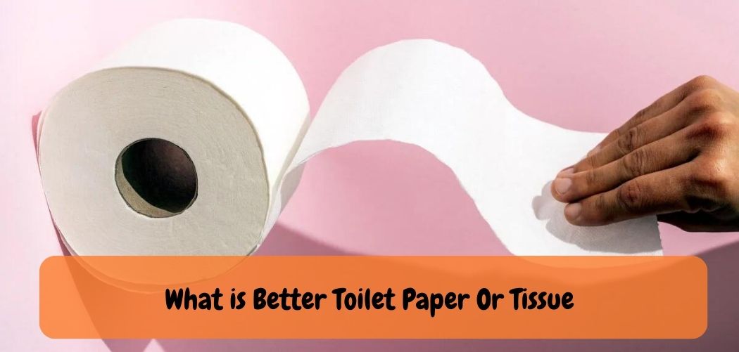 What Is The Difference Between Toilet Paper And Toilet Tissue