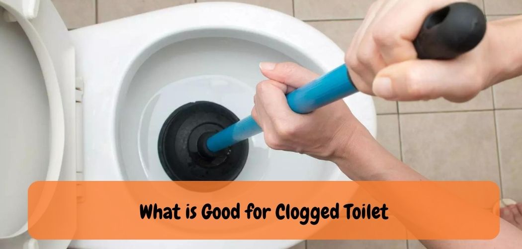 What is Good for Clogged Toilet
