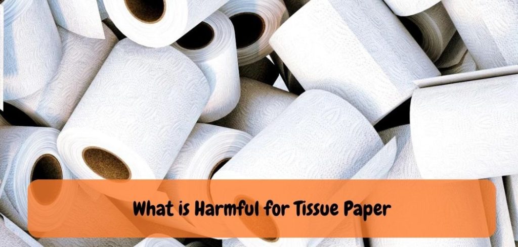 What is Harmful for Tissue Paper