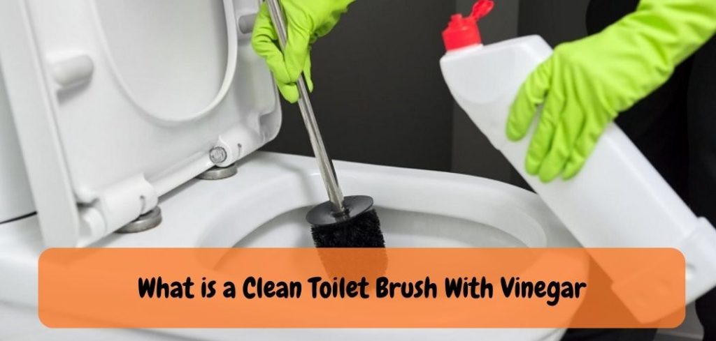 What is a Clean Toilet Brush With Vinegar