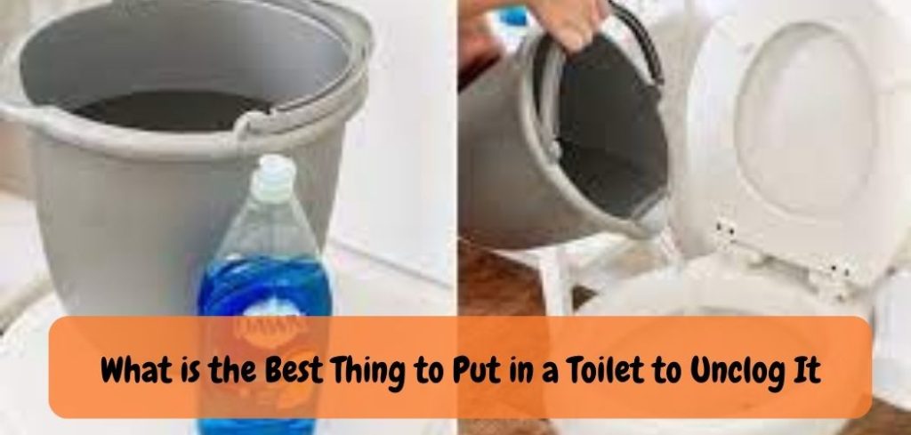 What is the Best Thing to Put in a Toilet to Unclog It