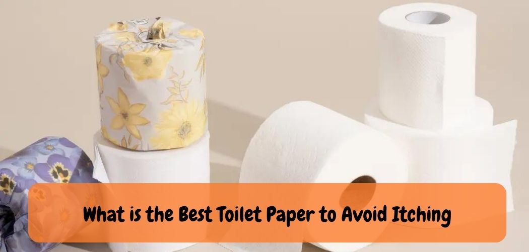 What is the Best Toilet Paper to Avoid Itching