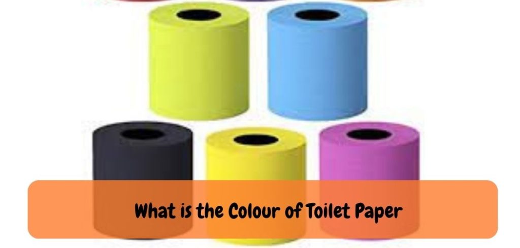 What is the Colour of Toilet Paper
