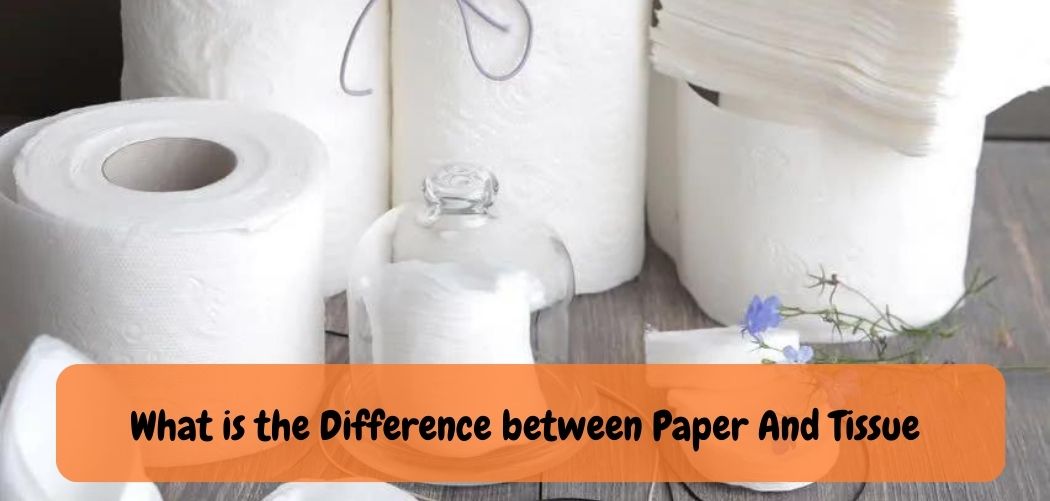 what-is-the-difference-between-toilet-paper-and-toilet-tissue