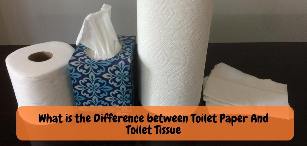 What is the Difference between Toilet Paper And Toilet Tissue