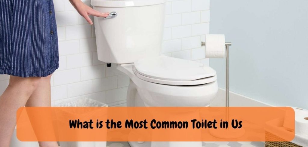 What is the Most Common Toilet in Us