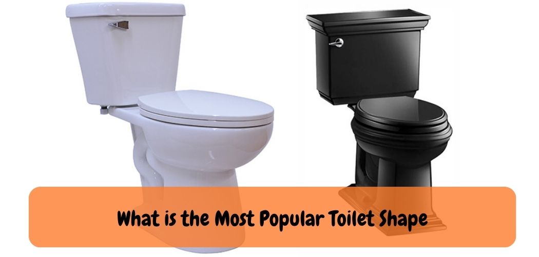 What is the Most Popular Toilet Shape