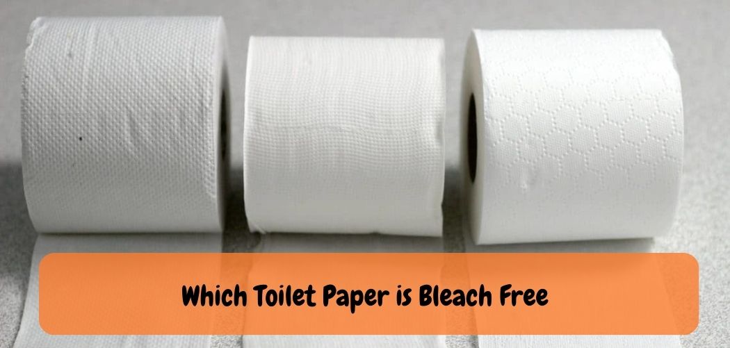 Which Toilet Paper is Bleach Free