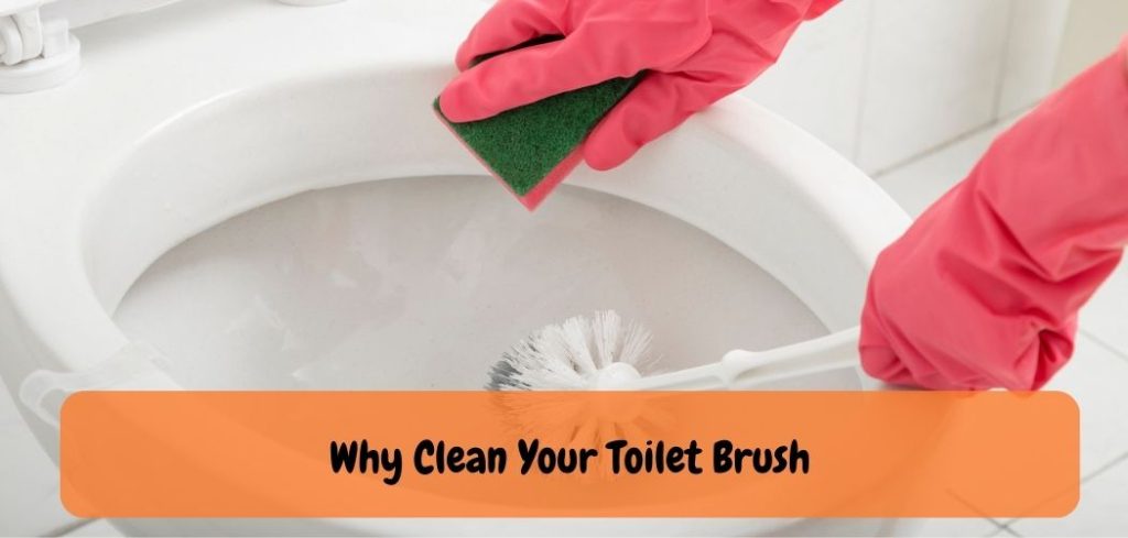 Why Clean Your Toilet Brush