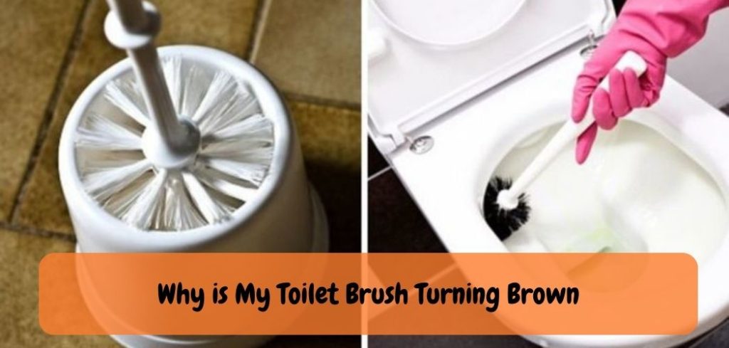 Why is My Toilet Brush Turning Brown