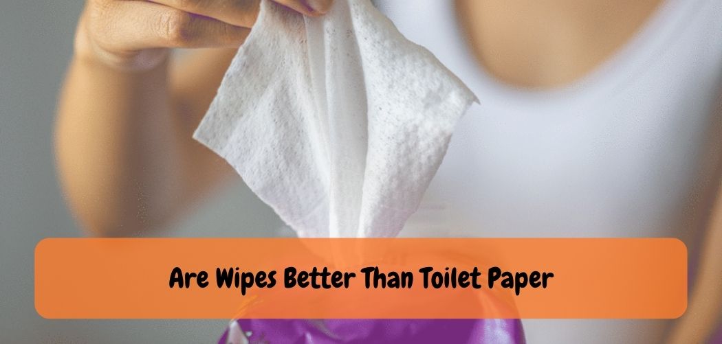 Are Wipes Better Than Toilet Paper