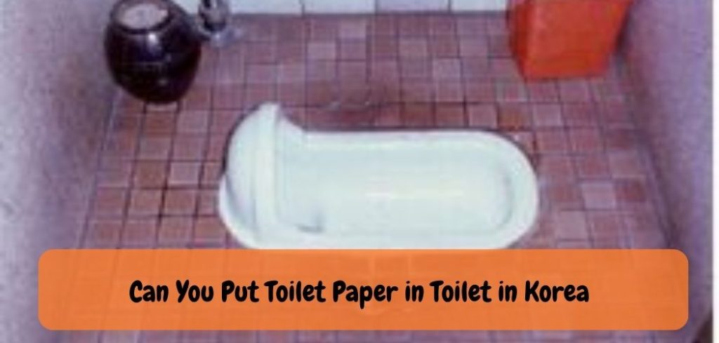 Can You Put Toilet Paper in Toilet in Korea