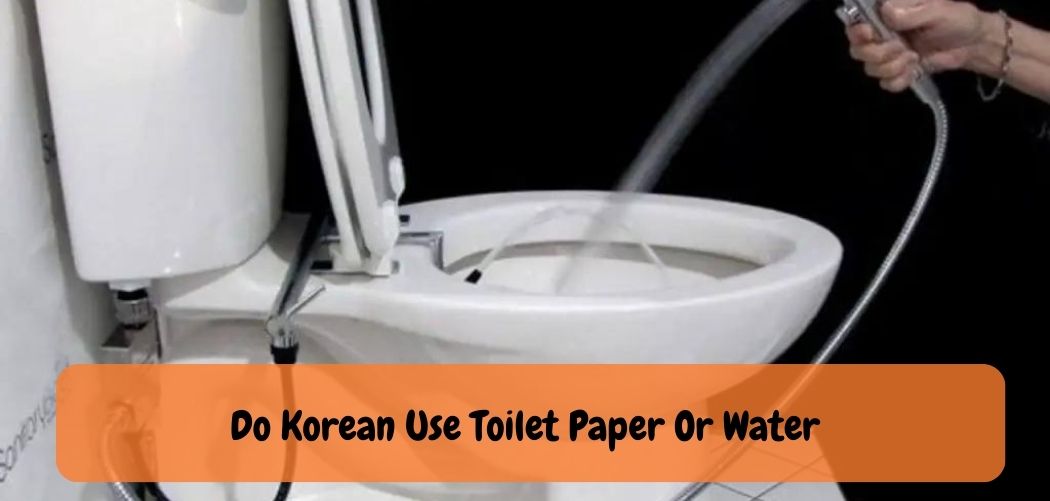 Do Korean Use Toilet Paper Or Water