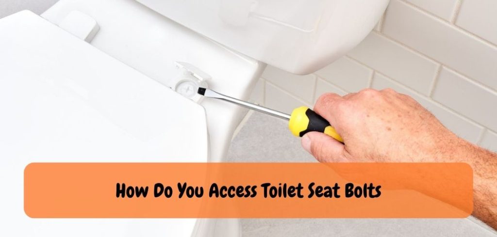 unlock-the-mystery-accessing-toilet-seat-bolts-made-easy