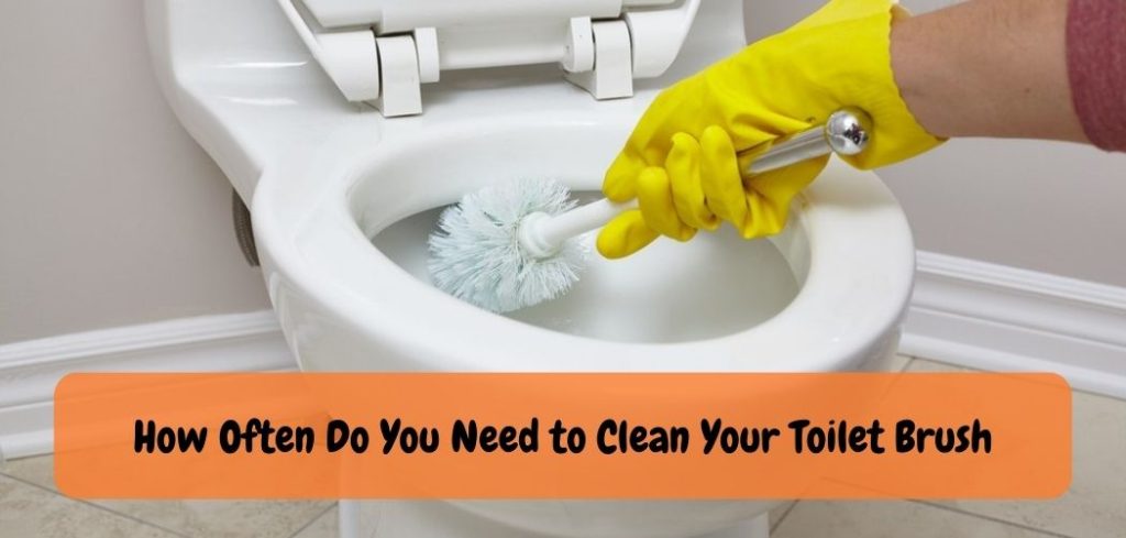 How Often Do You Need to Clean Your Toilet Brush