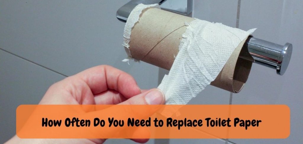 How Often Do You Need to Replace Toilet Paper