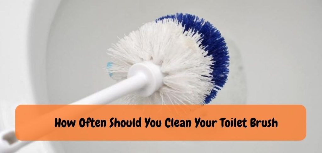 How Often Should You Clean Your Toilet Brush