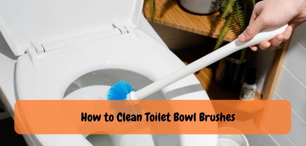 How to Clean Toilet Bowl Brushes