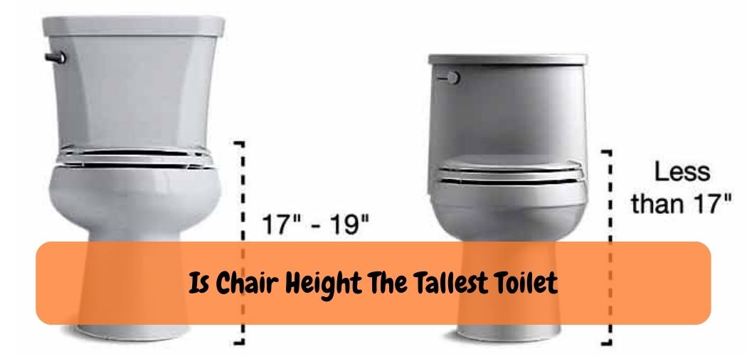 Is Chair Height The Tallest Toilet