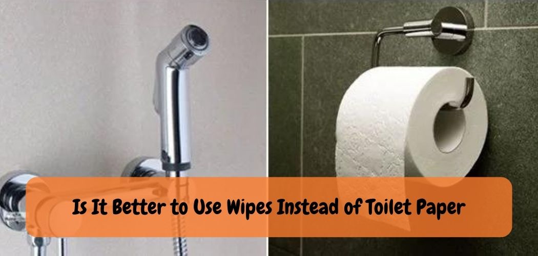 What Should Instead of Toilet Paper?