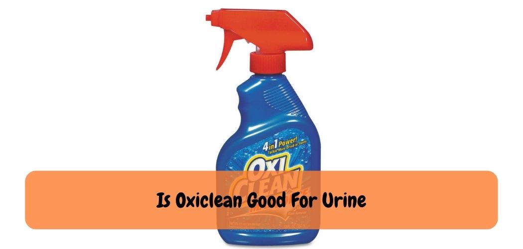 Is Oxiclean Good For Urine