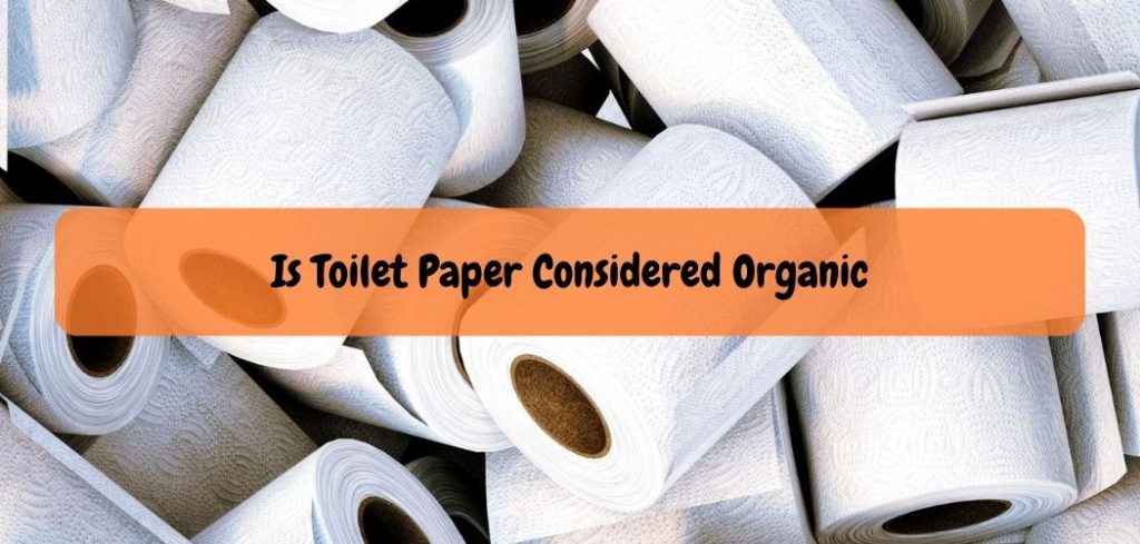 Is Toilet Paper Considered Organic