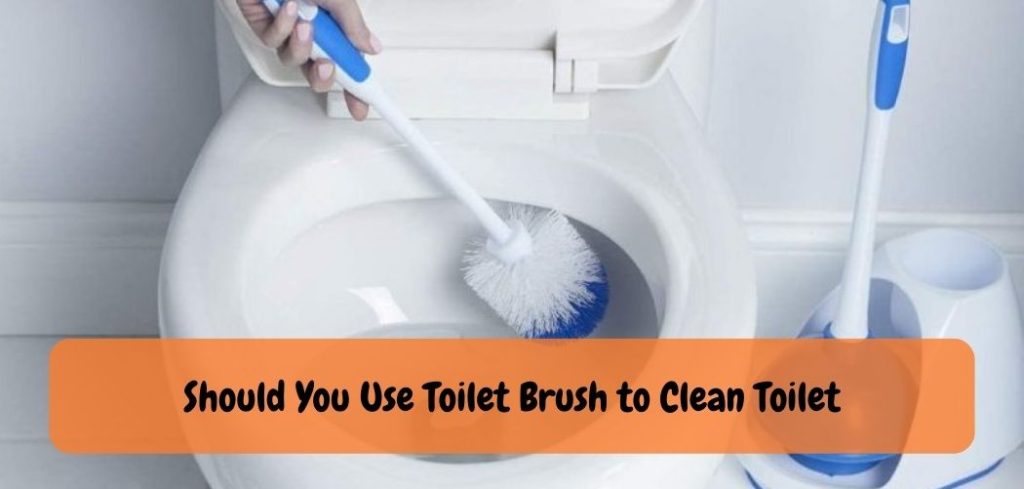 Should You Use Toilet Brush to Clean Toilet