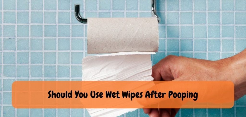 Should You Use Wet Wipes After Pooping