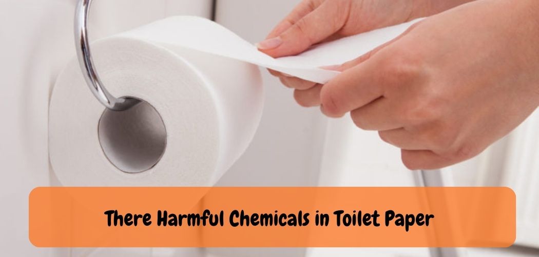 There Harmful Chemicals in Toilet Paper