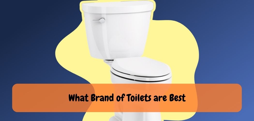 Which Company Toilet is Best?