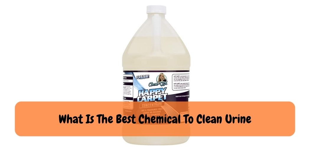 What Is The Best Chemical To Clean Urine