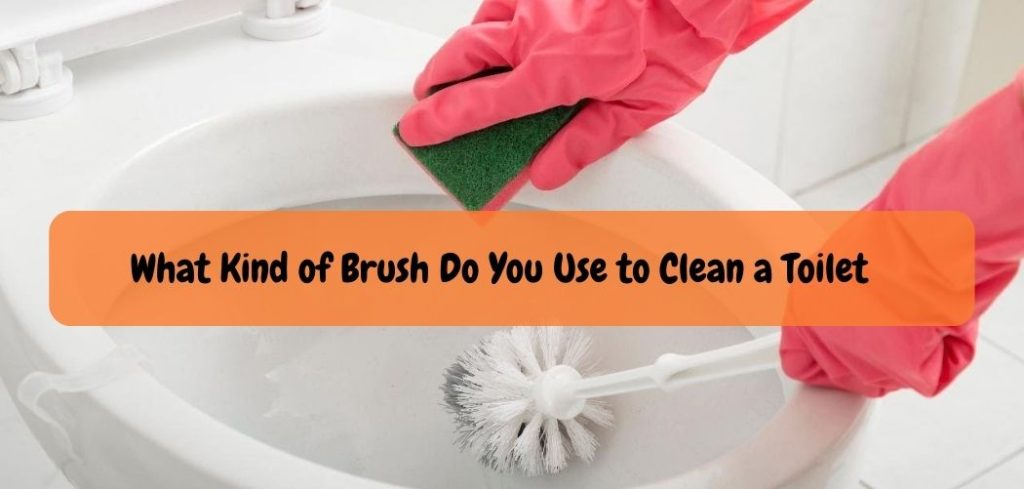 What Kind of Brush Do You Use to Clean a Toilet