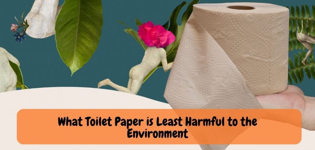 What Toilet Paper is Least Harmful to the Environment