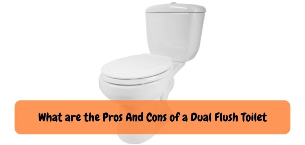 What are the Pros And Cons of a Dual Flush Toilet