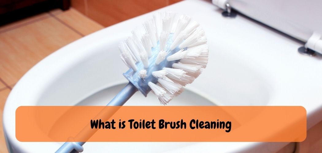 What is Toilet Brush Cleaning