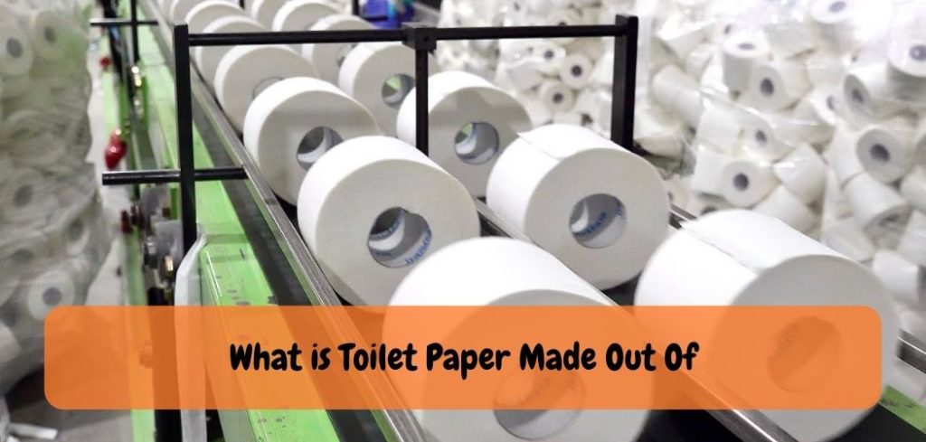 What is Toilet Paper Made Out Of