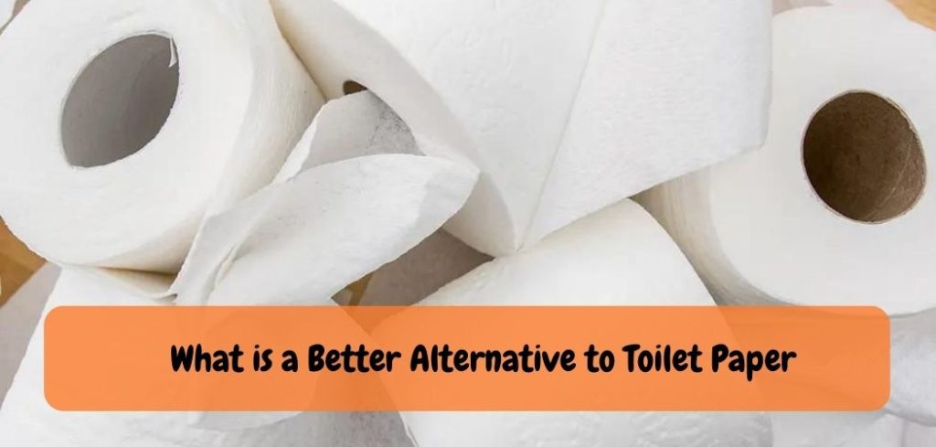 What is a Better Alternative to Toilet Paper