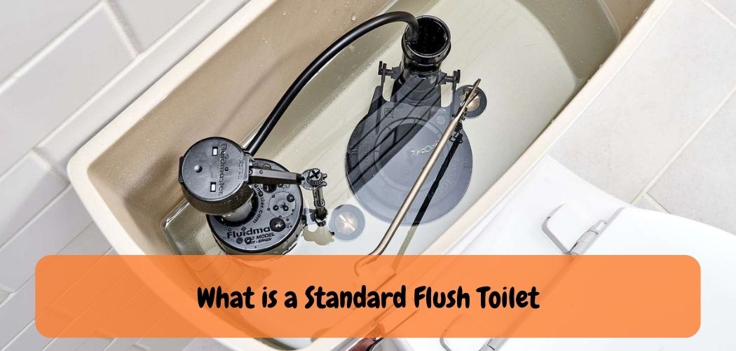 What is a Standard Flush Toilet