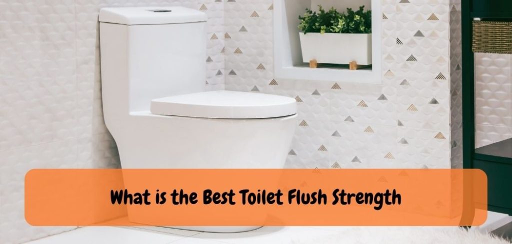 What is the Best Toilet Flush Strength