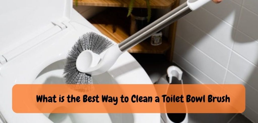 What is the Best Way to Clean a Toilet Bowl Brush