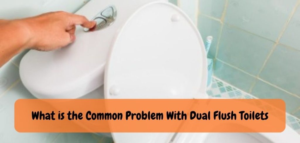 What is the Common Problem With Dual Flush Toilets