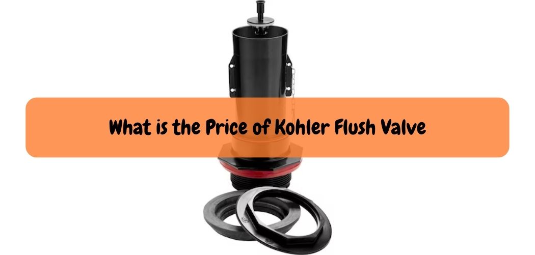 What is the Price of Kohler Flush Valve