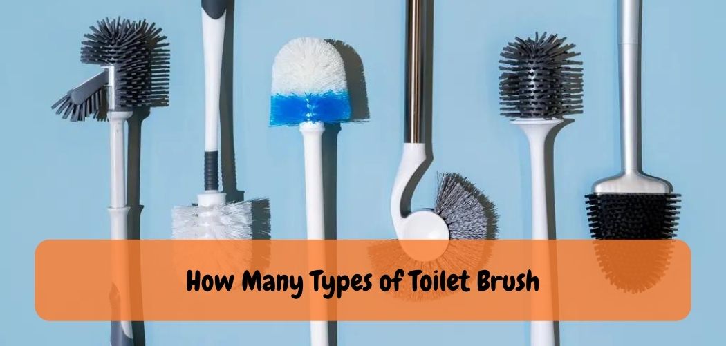 How Many Types of Toilet Brush