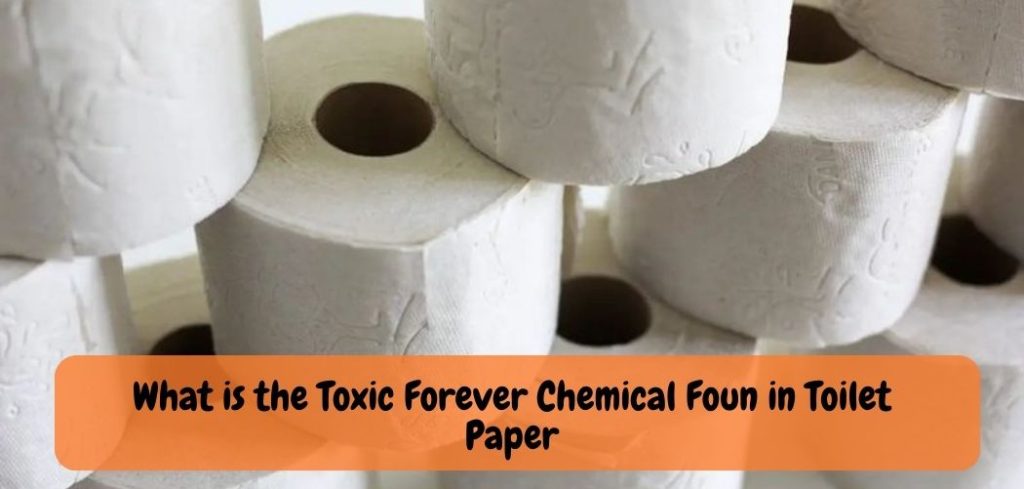 What is the Toxic Forever Chemical Foun in Toilet Paper