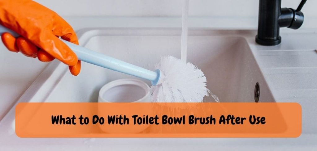 What to Do With Toilet Bowl Brush After Use